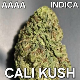 GUELPH WEED DELIVERY