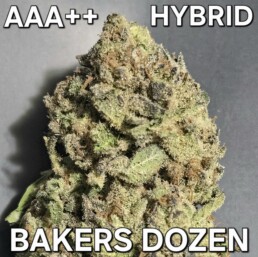 GUELPH WEED DELIVERY