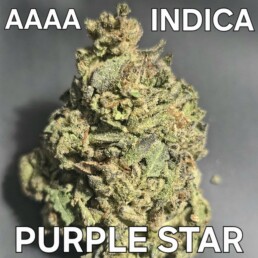 GUELPH WEED DELIVERY